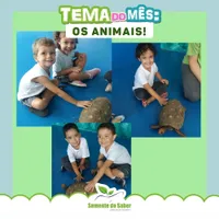 Escola Semente Do Saber - Imagem 2