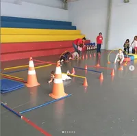 Centro De Ensino Infantil E Fundamental Impacto Educacional Eireli - Imagem 1