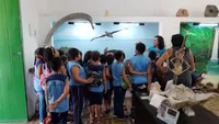 Escola Vinícius De Moraes - Imagem 3