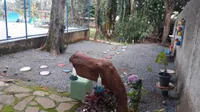 Butterfly Garden School - Imagem 1