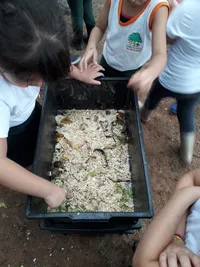 Centro Educacional Allan Kardec - Imagem 3