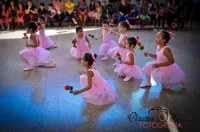 Cesc - Centro Educacional Sonhos De Crianca - Imagem 3