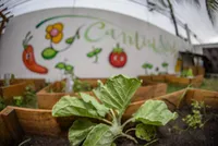 Escola Vila Natureza - Imagem 3