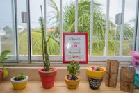 Escola Vila Natureza - Imagem 4