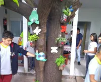 Escola Novo Mundo - Imagem 3