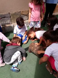 Centro De Educação Infantil Babies - Imagem 3