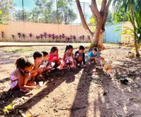Colégio Erentrud Kids - Imagem 3