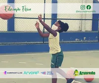 Escola Arvoredo - Imagem 2