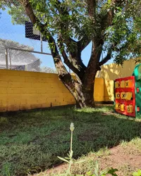 Colégio Roberto Konishi - Imagem 1