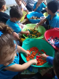 Sementinhas Encantadas Escola Infantil - Imagem 1