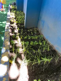 Jardim Escola Oficina Do Conhecimento - Imagem 1
