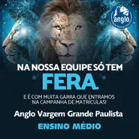 Colégio Anglo - Ensino Médio - Imagem 2