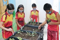 Centro Educacional Estrelas Do Amanhã - Imagem 2