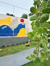 Pé No Chão - Escola De Ensino Fundamental - Imagem 2