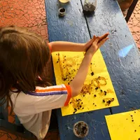 Escola Ceca – Centro Educacional Da Criança E Do Adolescente - Imagem 2