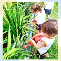 Escola Ceca – Centro Educacional Da Criança E Do Adolescente - Imagem 1