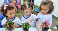 Recanto De Educação Infantil Ciranda - Imagem 2
