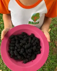 Ekos Escola De Educação Infantil - Imagem 1
