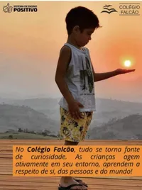 Colégio Falcão - Imagem 4