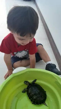Centro De Educação Infantil Nosso Quintal - Imagem 3