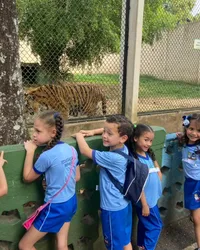 Centro Educacional Anita De Abreu - Imagem 2
