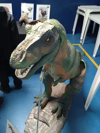 Centro De Educacao Infantil Arco-iris E Cia - Imagem 2
