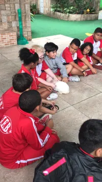 Jardim Escola Bernadette - Imagem 1