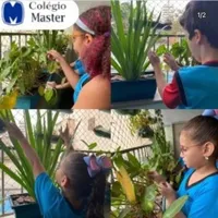 Colégio Adn Master - Imagem 3