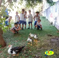 Escola Laura Vicuna - Imagem 2