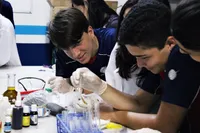 Alternativo Colégio E Curso - Imagem 3