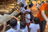 Bright Kids Educacao Bilingue - Unidade Ed. Infantil - Imagem 2