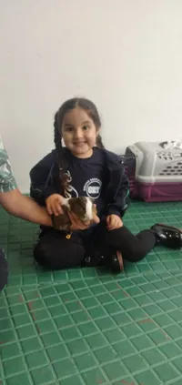 Creche Escola Triunfo - Imagem 1