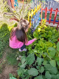 Escola Brincando & Aprendendo - Imagem 2