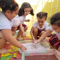 O Pequeno Galileu Escola De Educação Infantil - Imagem 3