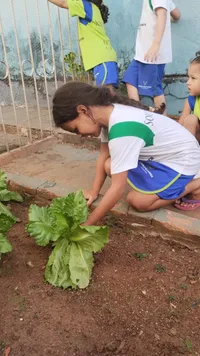 Escola Ville Marker - Imagem 3