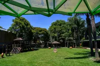 Escola Umbrella - Imagem 3
