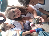 Colégio Ideal - Imagem 1