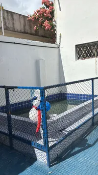 Escola Viver - Imagem 1