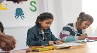 Centro Educacional São Francisco De Assis - Imagem 1