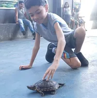 Centro Educacional Príncipe Da Paz - Imagem 2