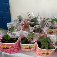 Escola Monte Sinai - Imagem 2