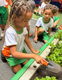 Daltro Méier - Rede Daltro Educacional - Imagem 4