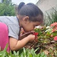 Cei Maria Benta - Imagem 1