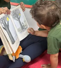 Escola Vila Lume - Imagem 2