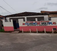 Sistema Educacional Inteligências Múltiplas - Imagem 1