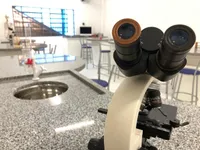 Colégio Dom Felipe - Unidade Ii - Imagem 1