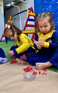 Estrelinhas Do Amanhã - Imagem 3