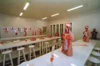 Colégio Brasília De São Paulo - Imagem 3