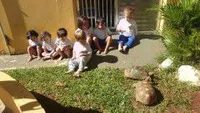 Escola Infantil Fantasia Das Cores - Imagem 1