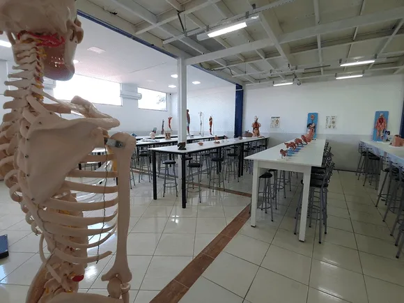 Vídeo e Imagens da IES